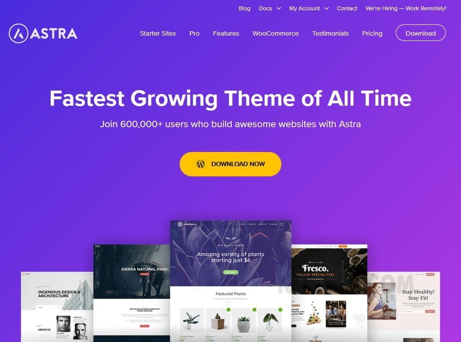 Astra Theme v4.7.2 – WordPress Theme