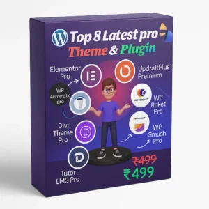 Theme & Plugin bundal